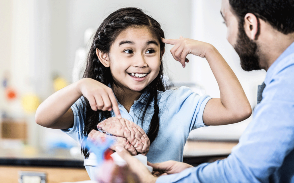 How to Reduce the Danger of Brain Injuries? How to Reduce the Danger of Brain Injuries?