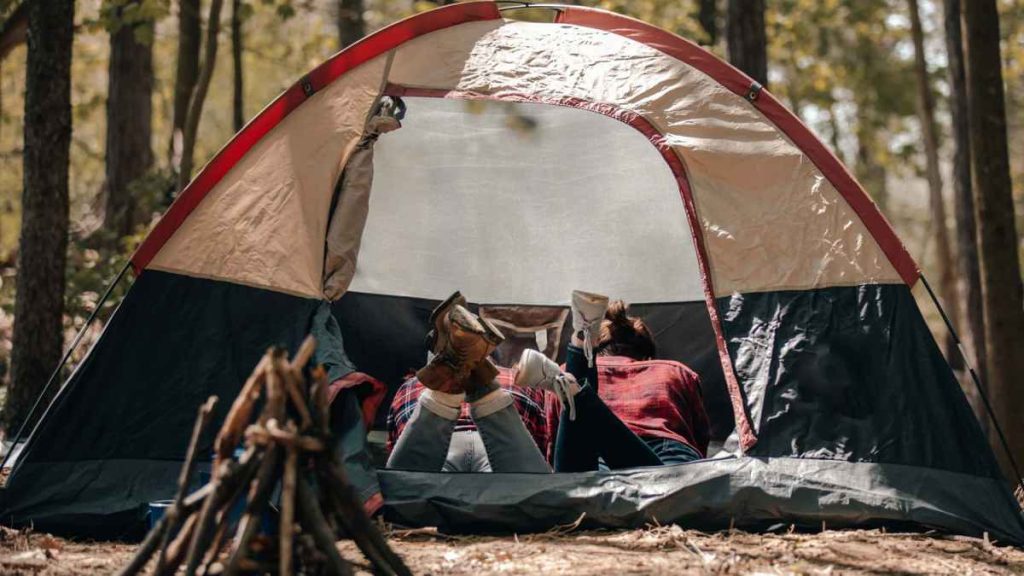 El Green Mall: Empowering Small and Medium Ethical Brands El Green Mall Empowering Small and Medium Ethical Brands