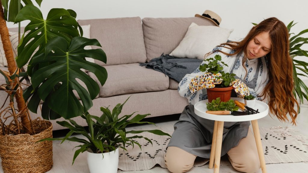 Tips to Incorporate Green Features In Your Condo