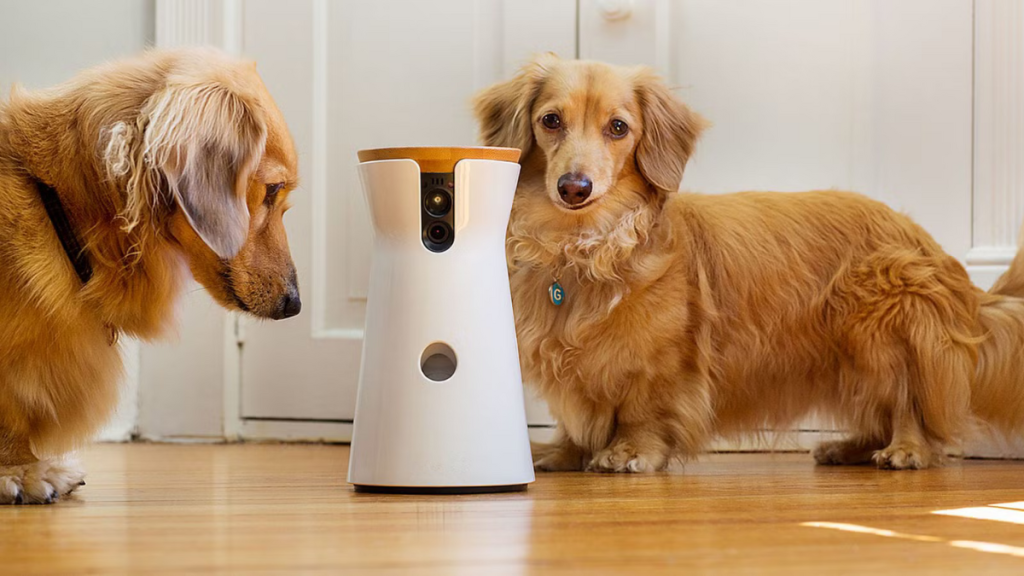 5 High-Tech Pet Dog Gadgets You Should Have 5 High-Tech Pet Dog Gadgets You Should Have