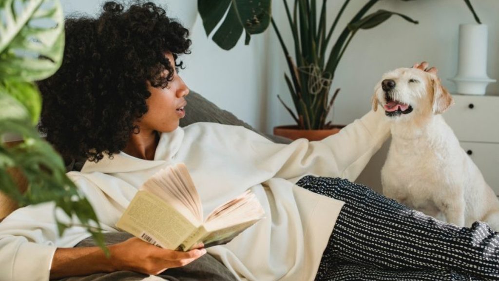 Ways to Keep Your Dog Happy and Healthy in Your New Condo Ways to Keep Your Dog Happy and Healthy in Your New Condo