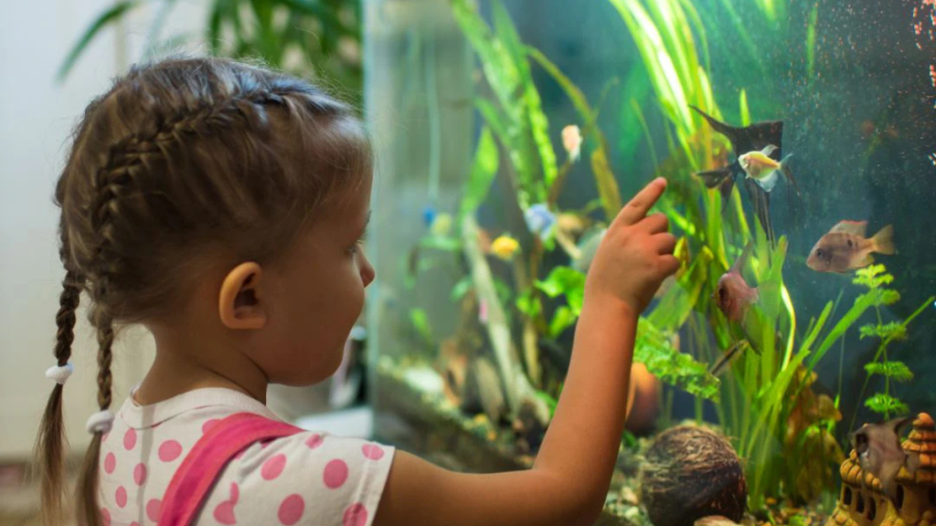 How Fish Ownership Fosters Child Development How Fish Ownership Fosters Child Development