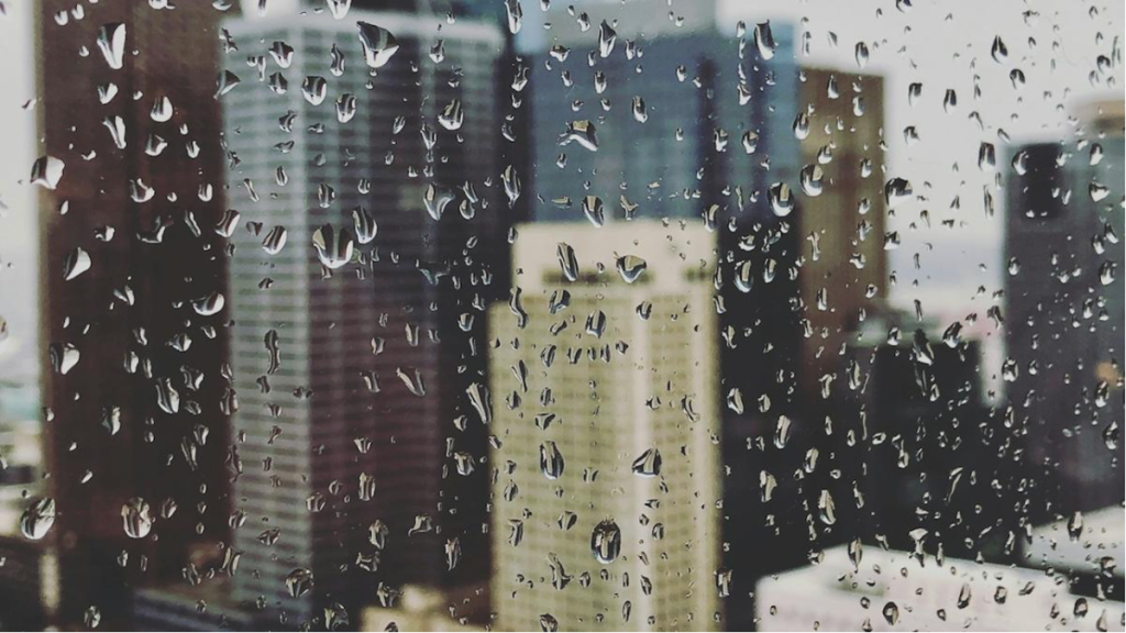 Florida Office Water Damage: Why Commercial Mold Remediation is Needed Fast Florida Office Water Damage Why Commercial Mold Remediation is Needed Fast